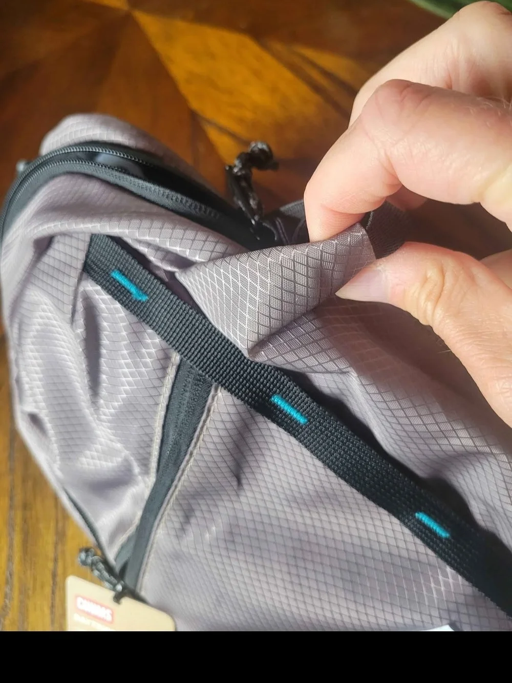 CHUMS Daytripper Sling Bag — Dusty Mauve